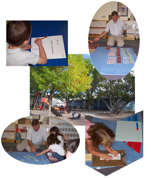 Student Collage